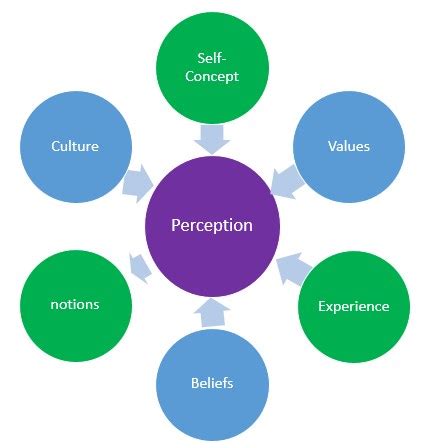 cb01 perception|Perception: The Sensory Experience of the World .
